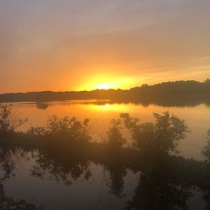 Meet your Posher, Dylan